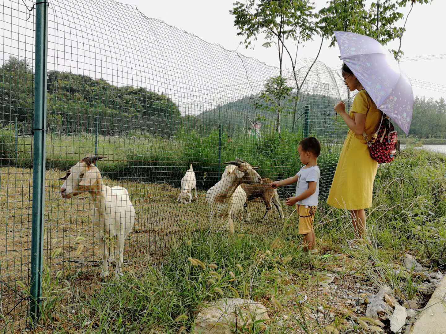 武汉学生秋游