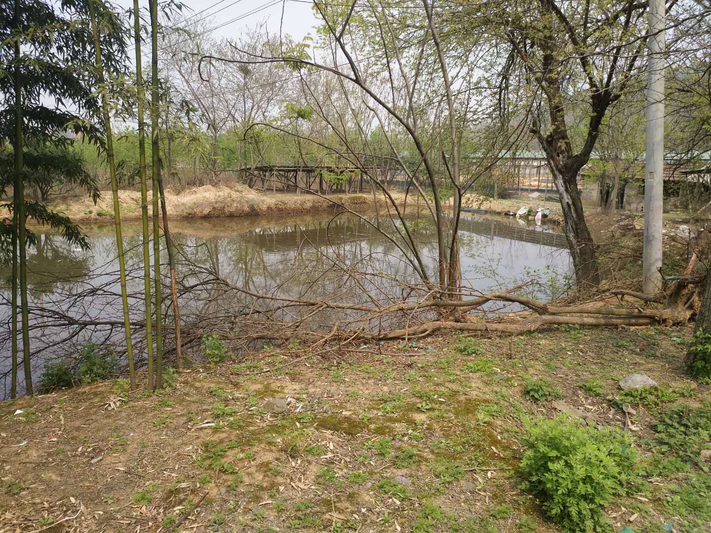 武汉最美农家乐