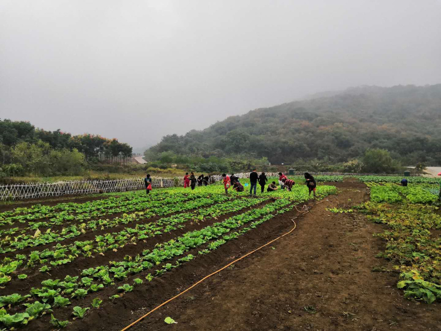 武汉农家乐采摘