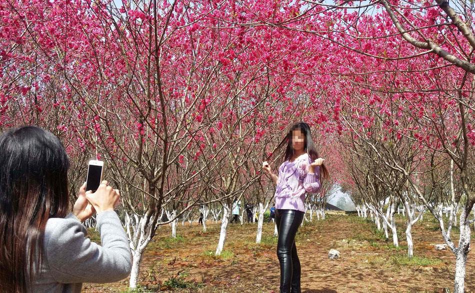 乐农湖畔生态园