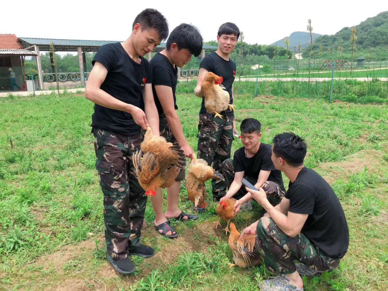 武汉农家乐野炊