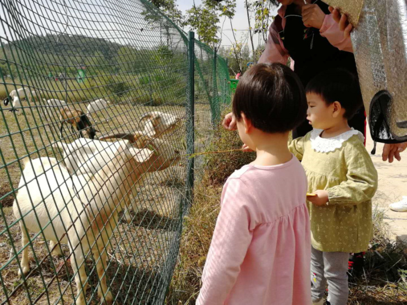 武汉农家乐