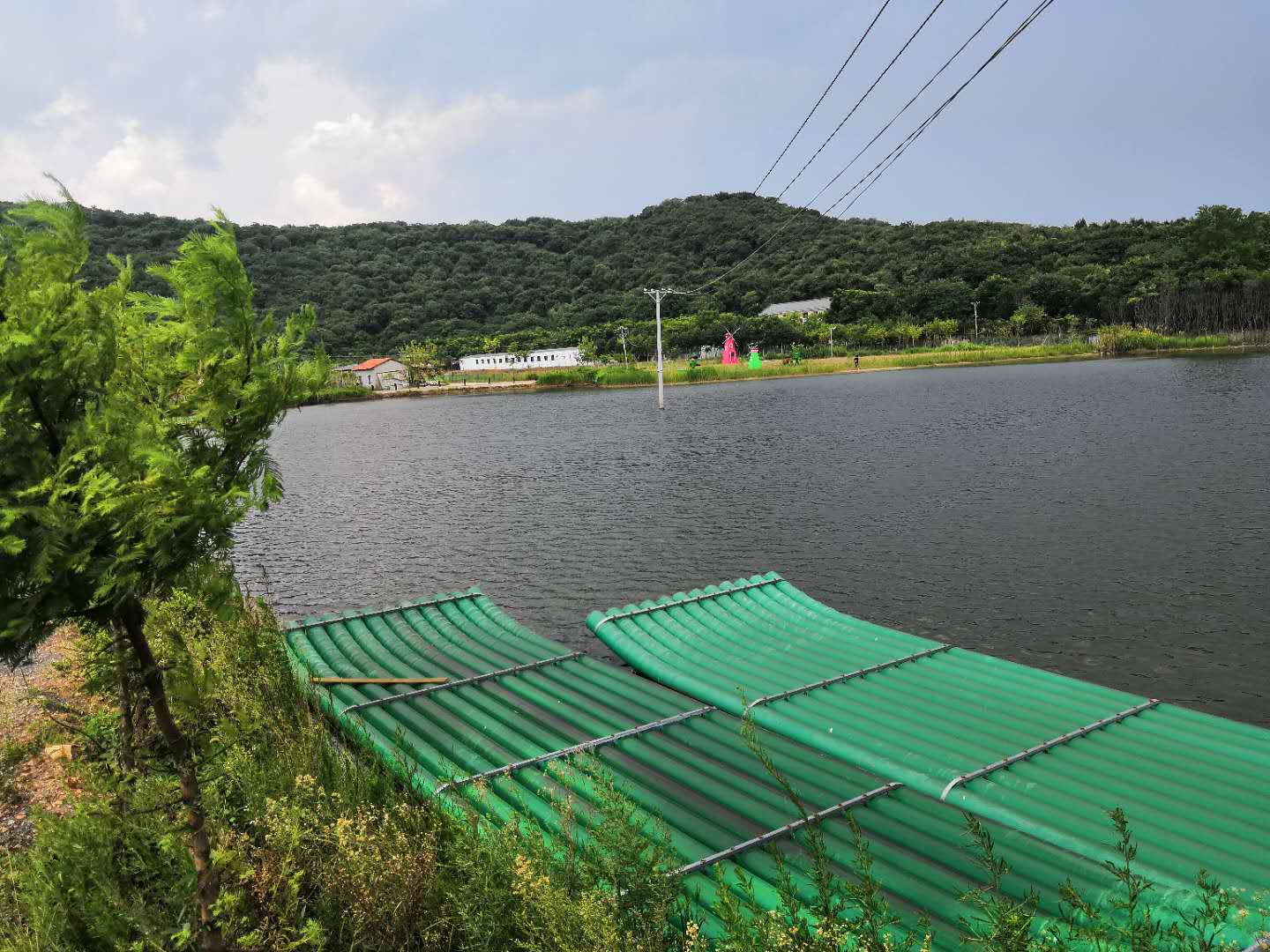 江夏周边游