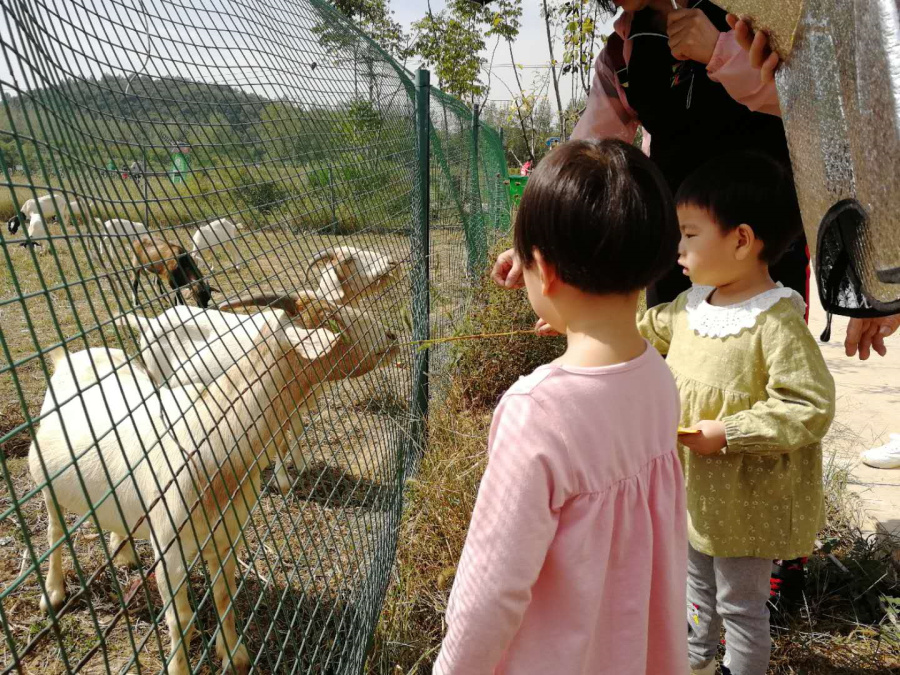 武汉亲子游