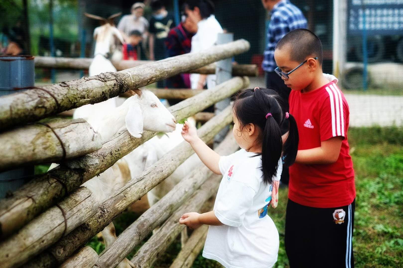 武汉学农家乐
