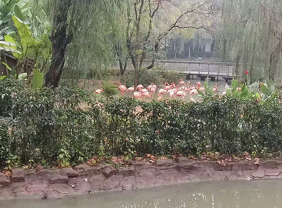 乐农湖畔生态园