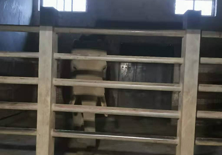 乐农湖畔