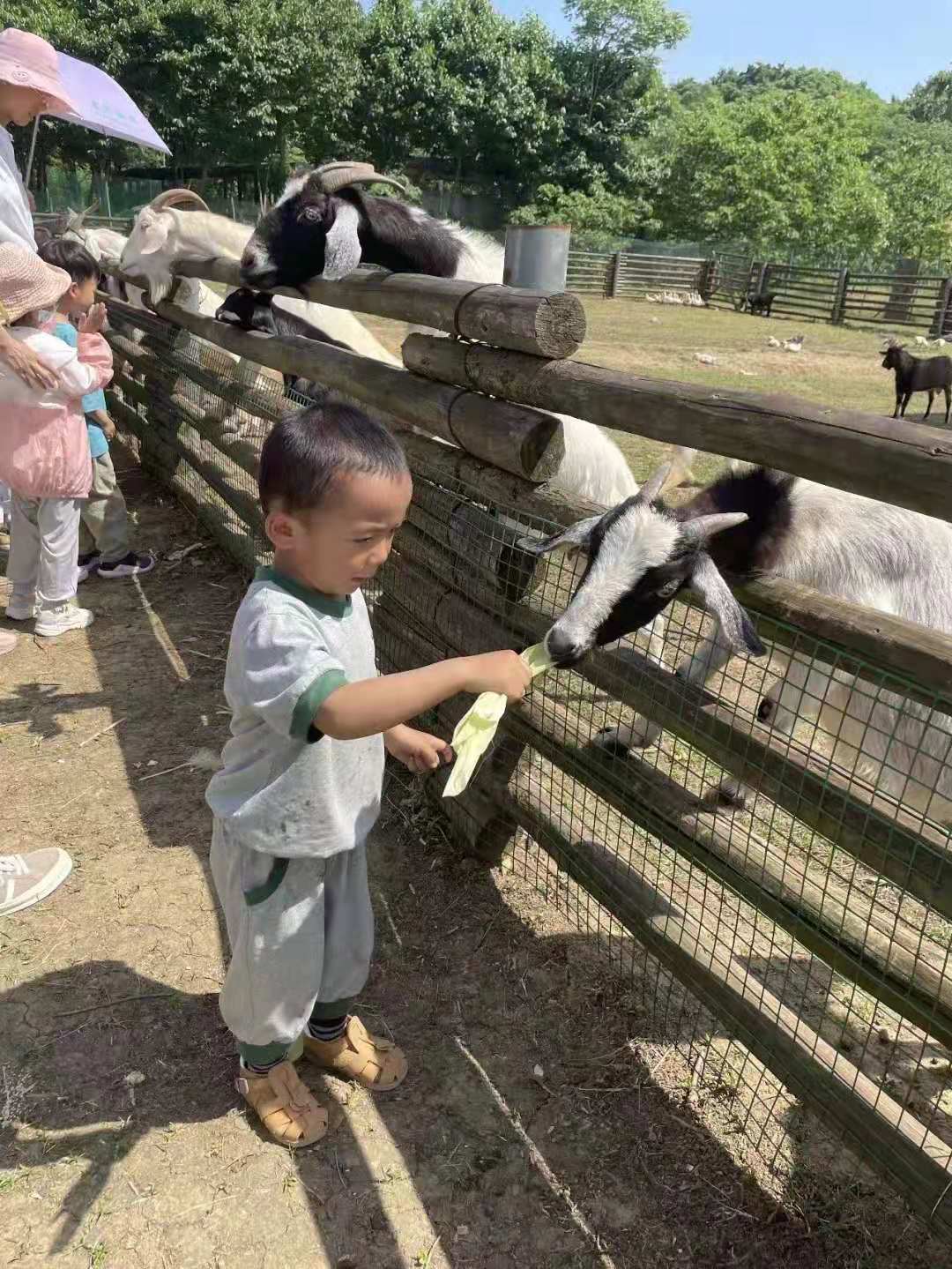 武汉农家乐
