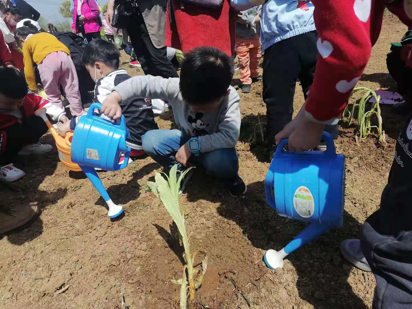 武汉亲子一日游