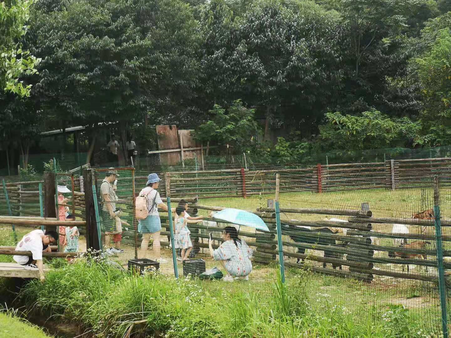 武汉农家乐