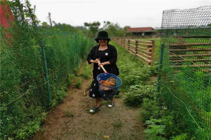武汉好玩的农家乐