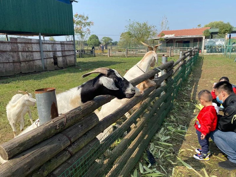 武汉亲子一日游