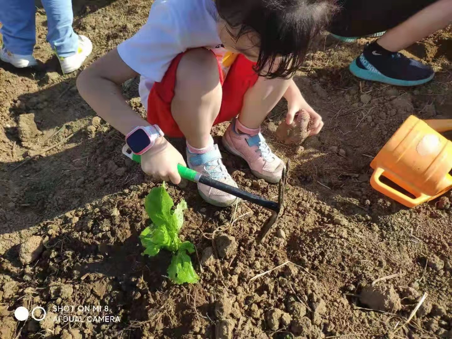 江夏亲子周边游