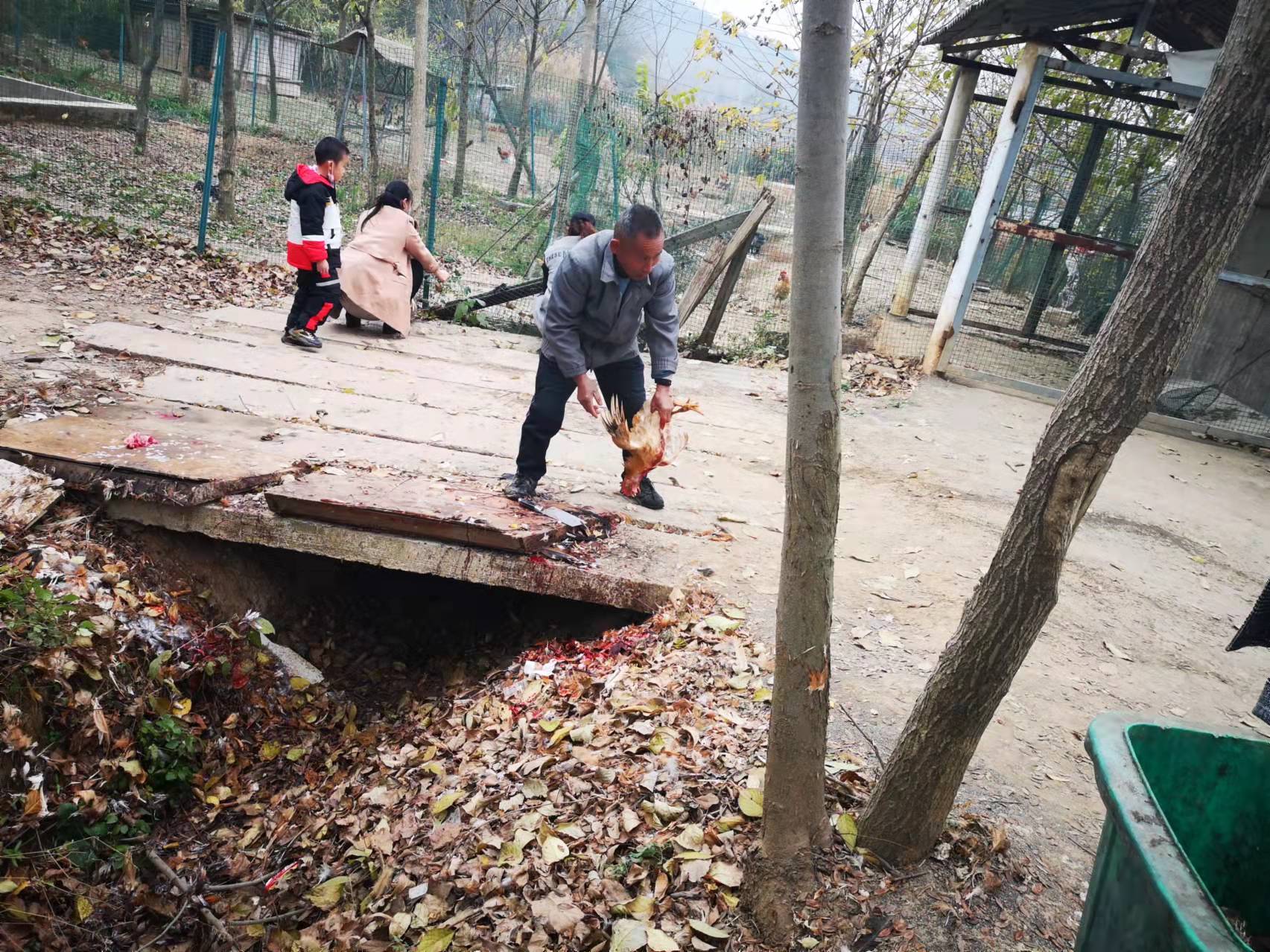 武汉周边农家乐