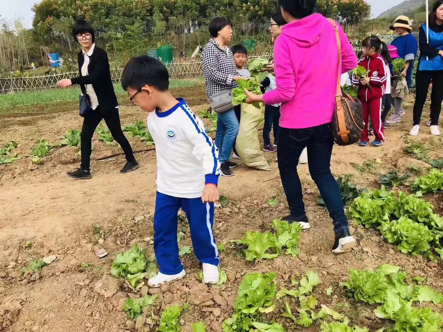 武汉学生出游