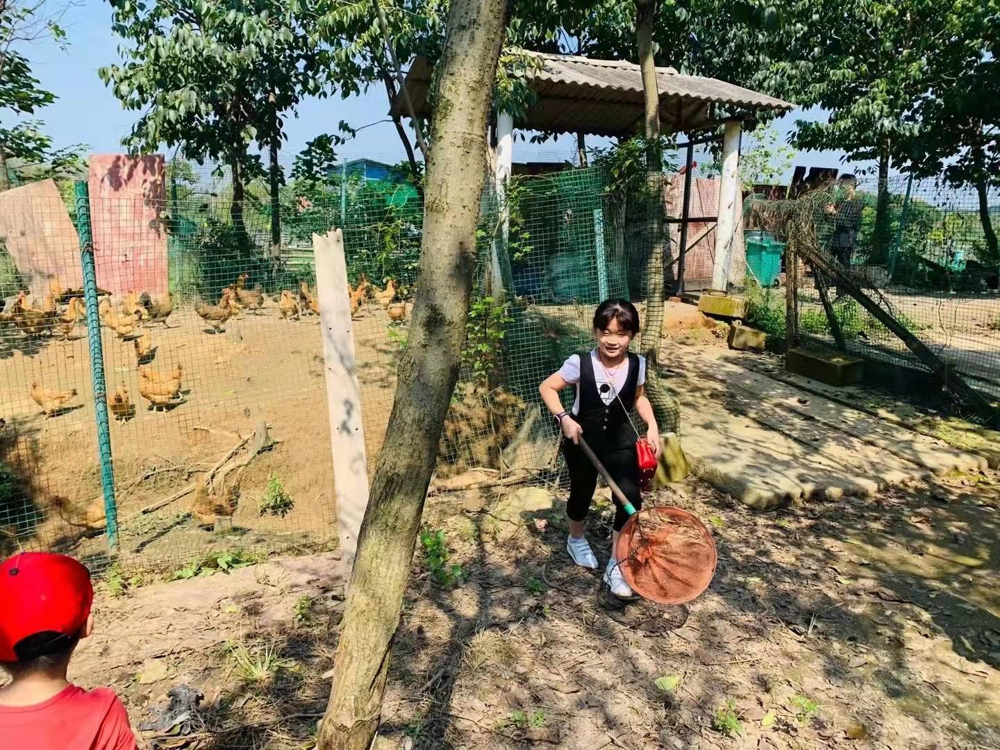 武汉农家乐