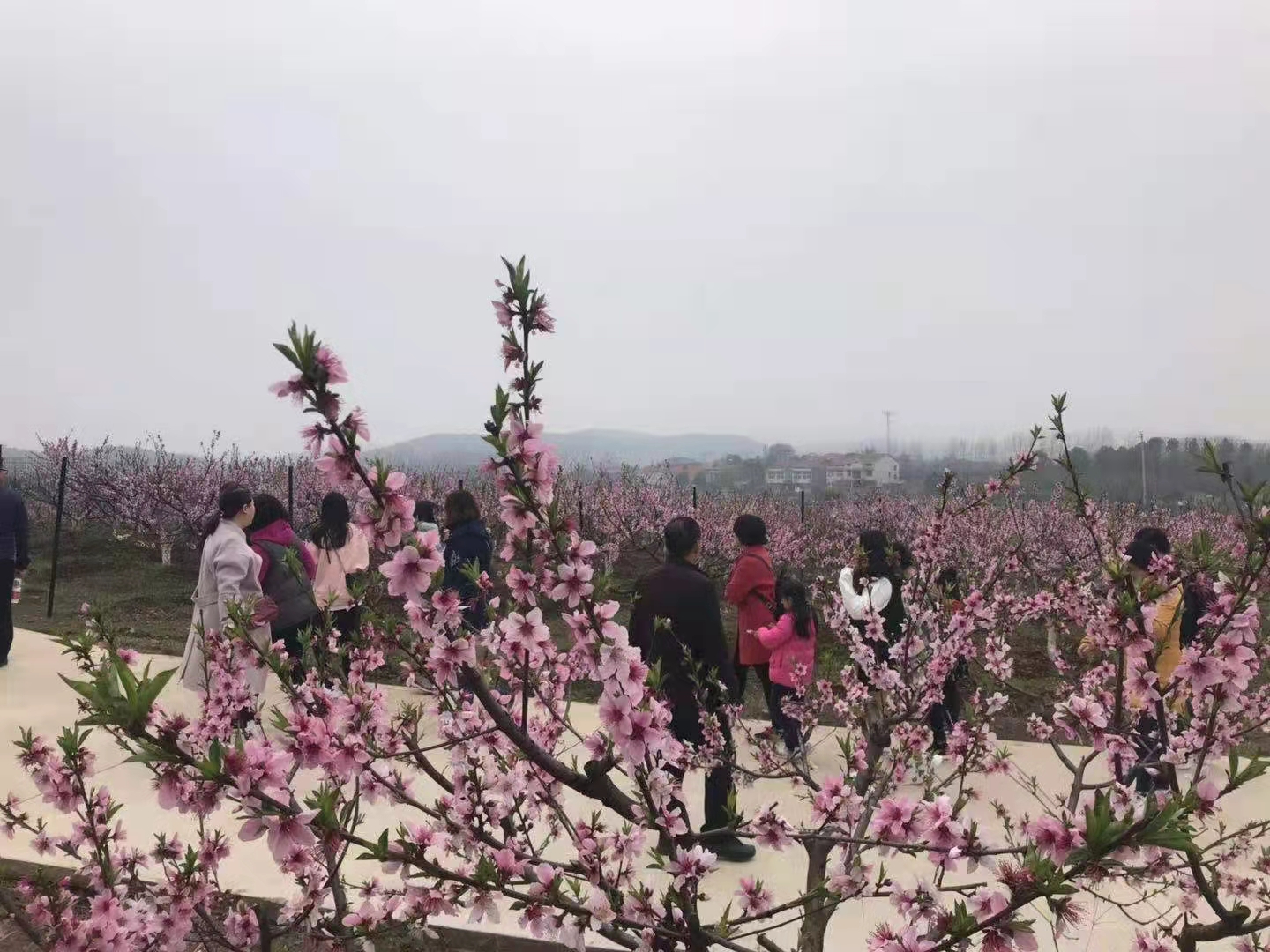 武汉农家乐