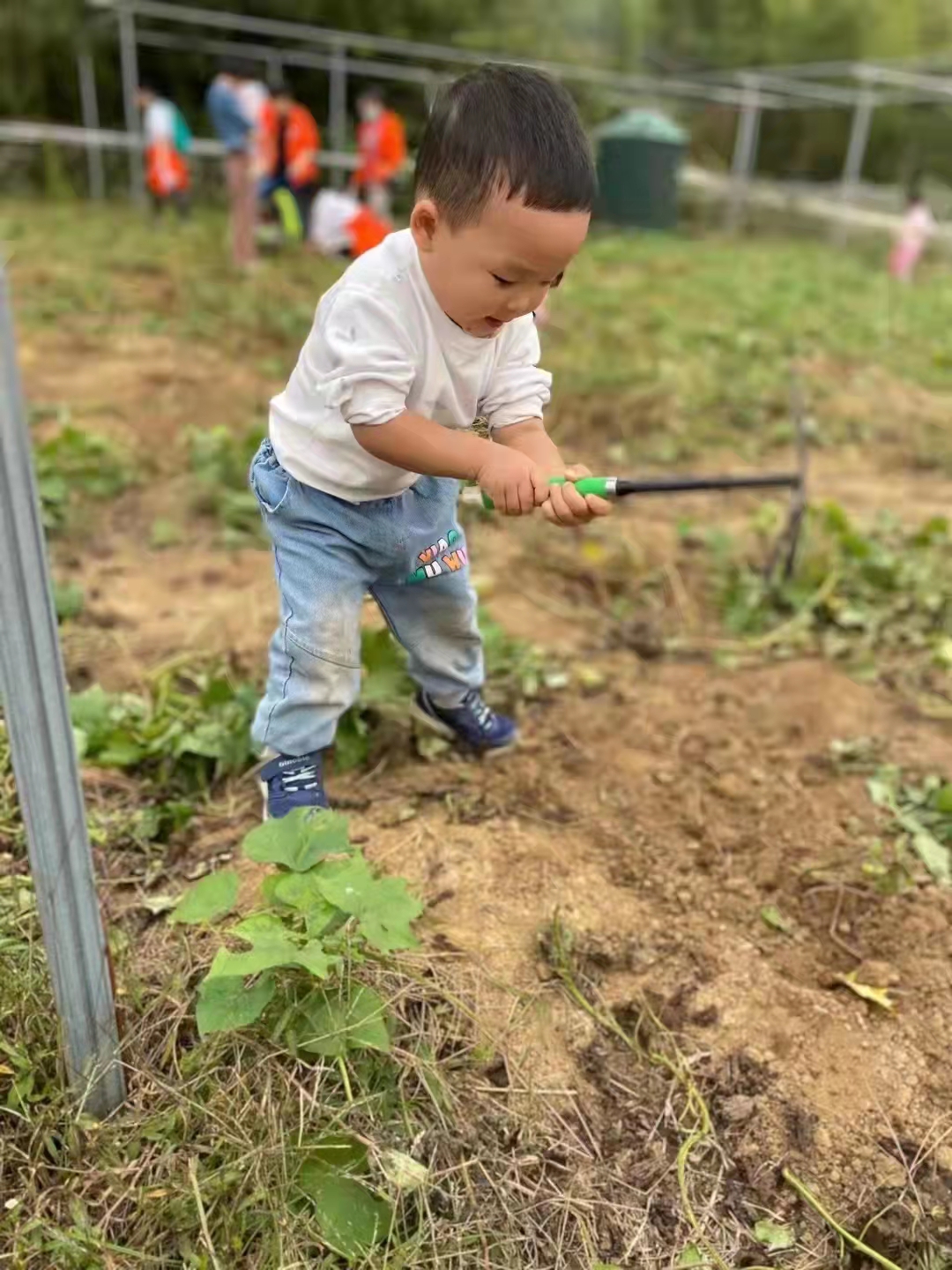 武汉周边亲子游