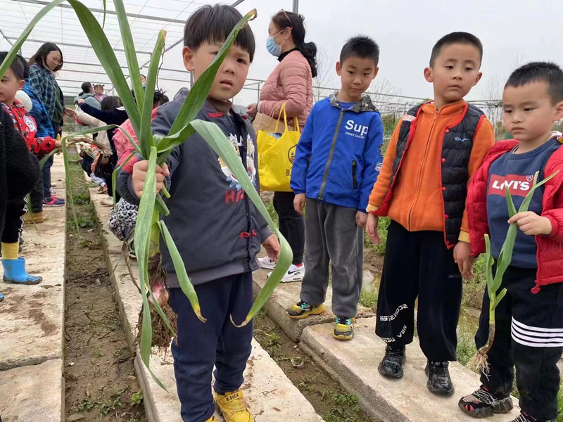 武汉周边亲子游