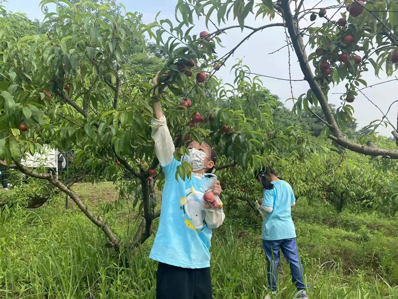 武汉亲子游