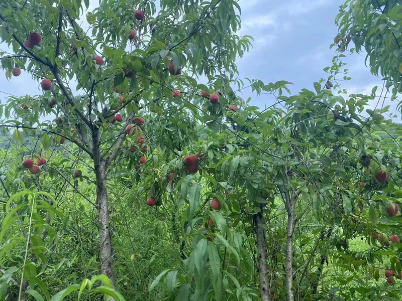 武汉公司团建