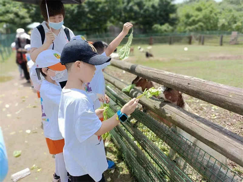 武汉周边亲子游