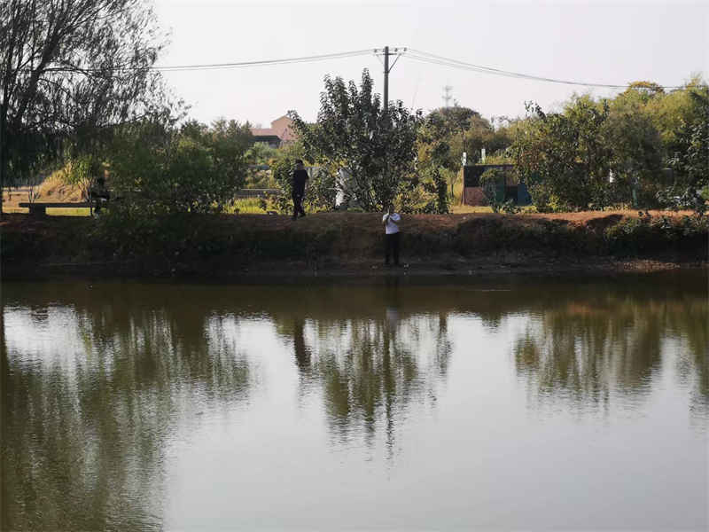 武汉周边农家乐