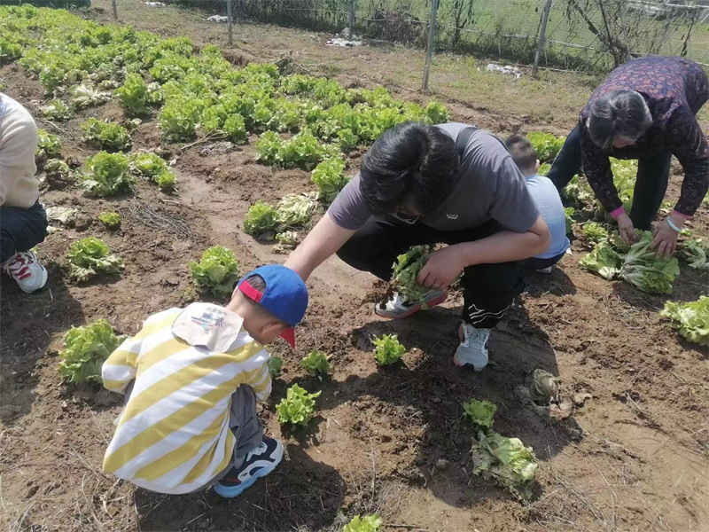 武汉周边亲子游