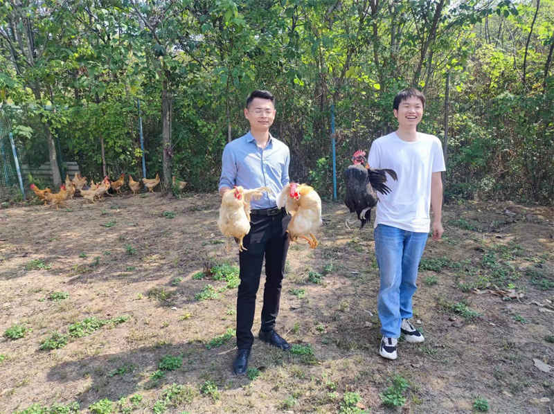 武汉好玩的农家乐