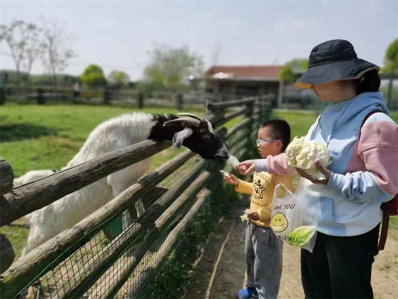 武汉亲子游