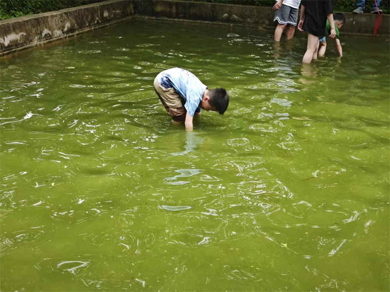 武汉好玩的农家乐