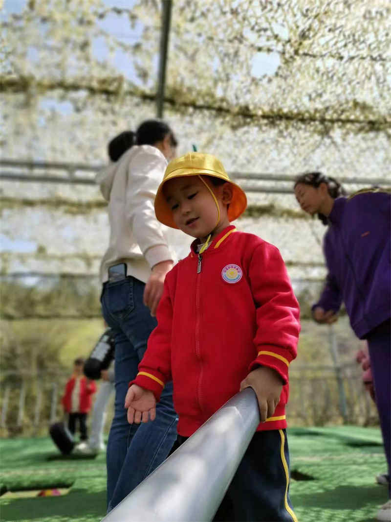 武汉幼儿园秋游