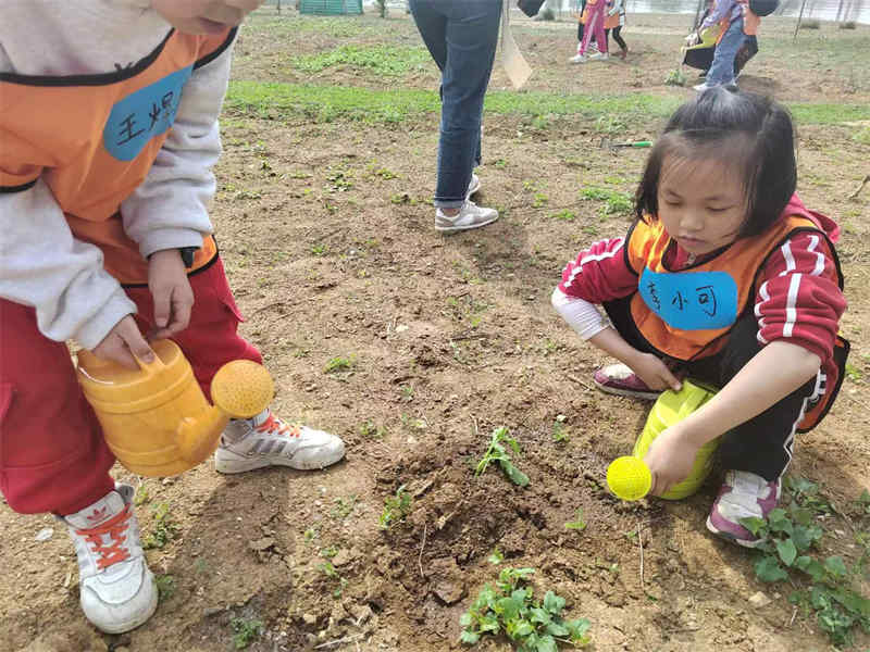 武汉幼儿园亲子游