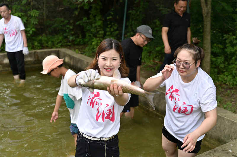 武汉公司团建