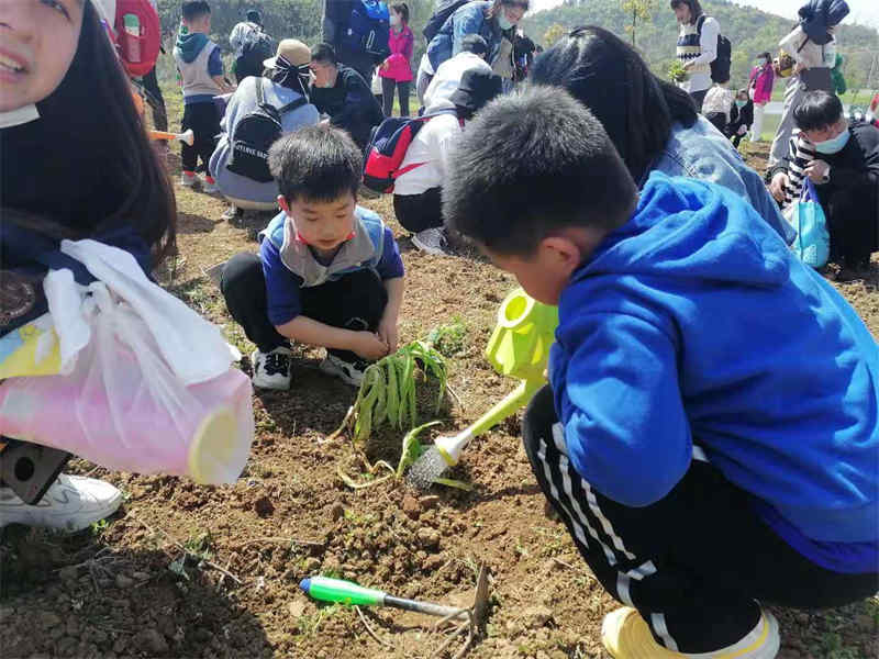 武汉幼儿园研学游