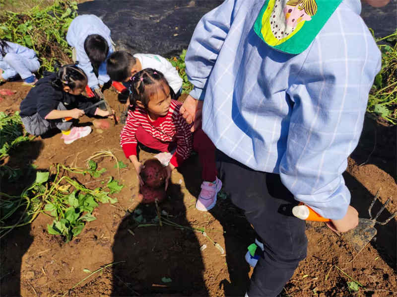 武汉幼儿园秋游