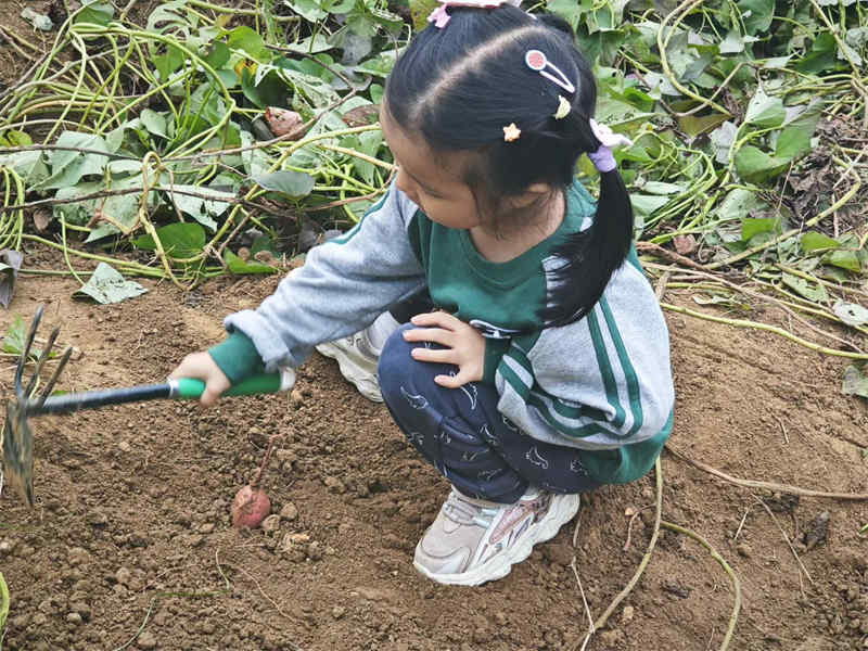 武汉幼儿园春游