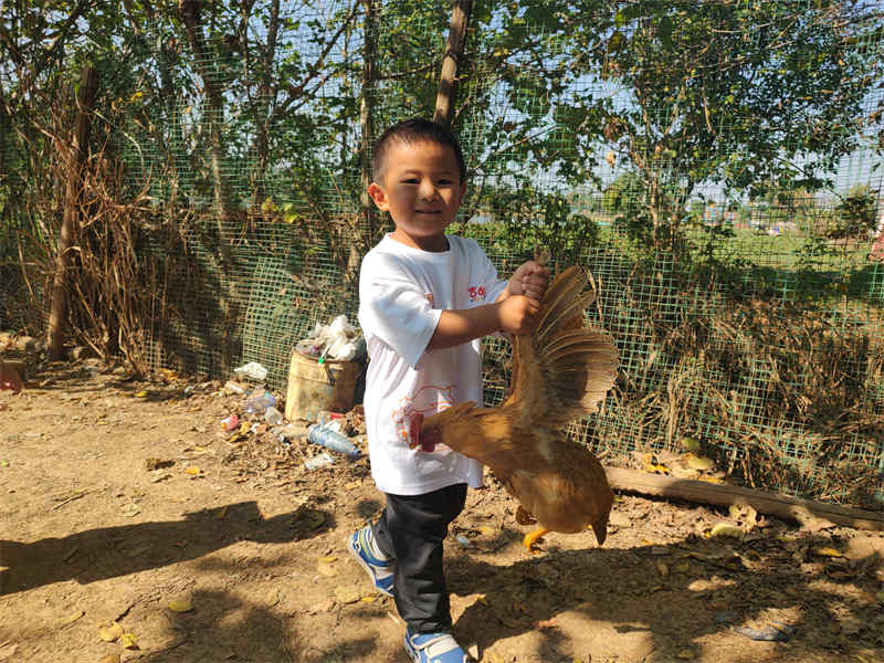 武汉溜娃好去处