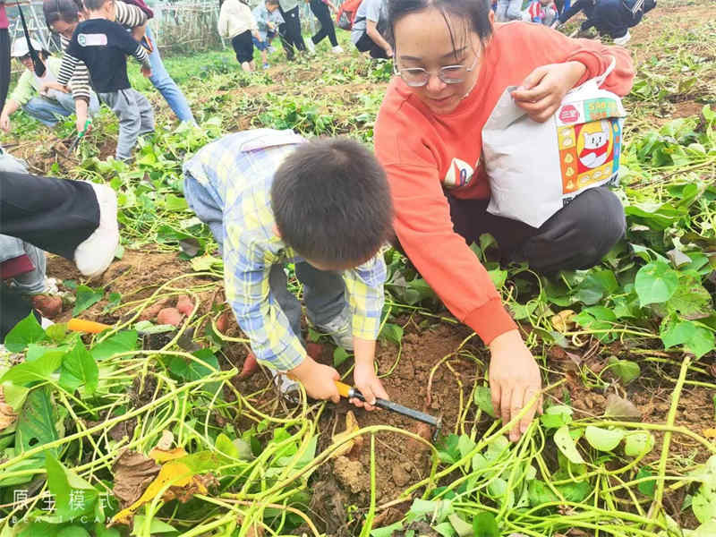 武汉秋季亲子游