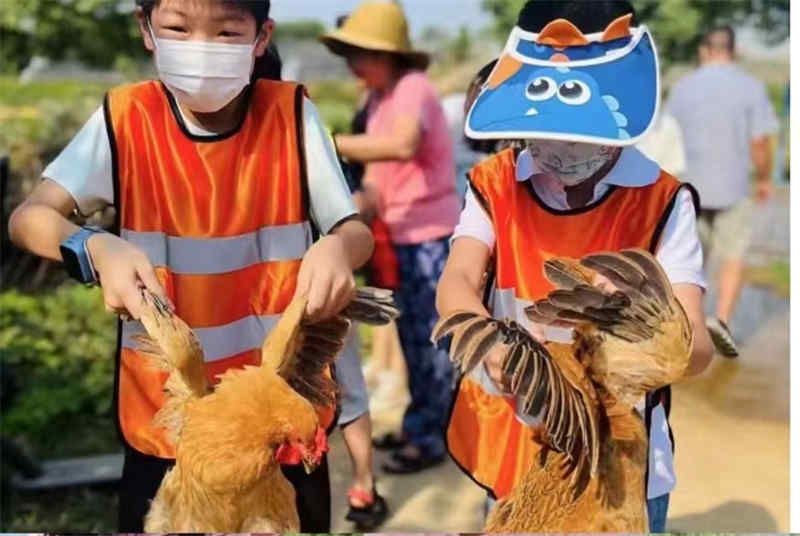 武汉秋游研学基地
