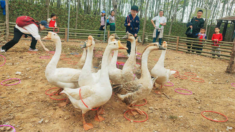 武汉亲子游